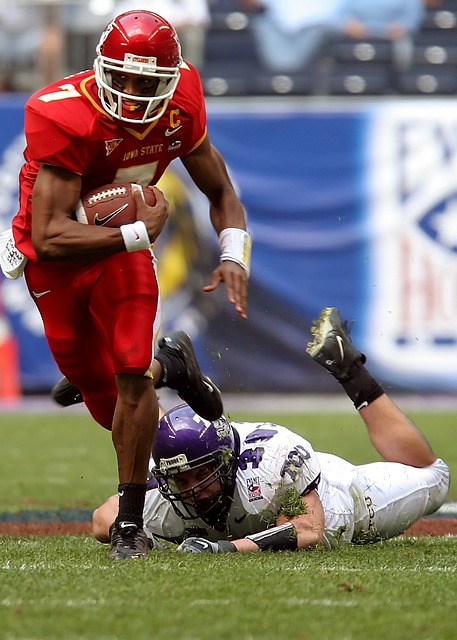 莱奥对意甲